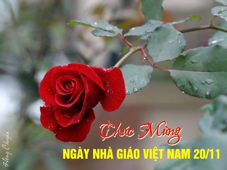 Các đồng chí lãnh đạo xã Kim Anh chúc mừng các trường học nhân dịp kỷ niệm Ngày nhà giáo Việt Nam 20/11.- Ảnh 2.
