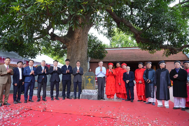 Xã Phù Đổng: Cây Quéo hơn 400 năm tuổi tại Miếu Tế Xuyên được công nhận Cây Di sản Việt Nam- Ảnh 8.