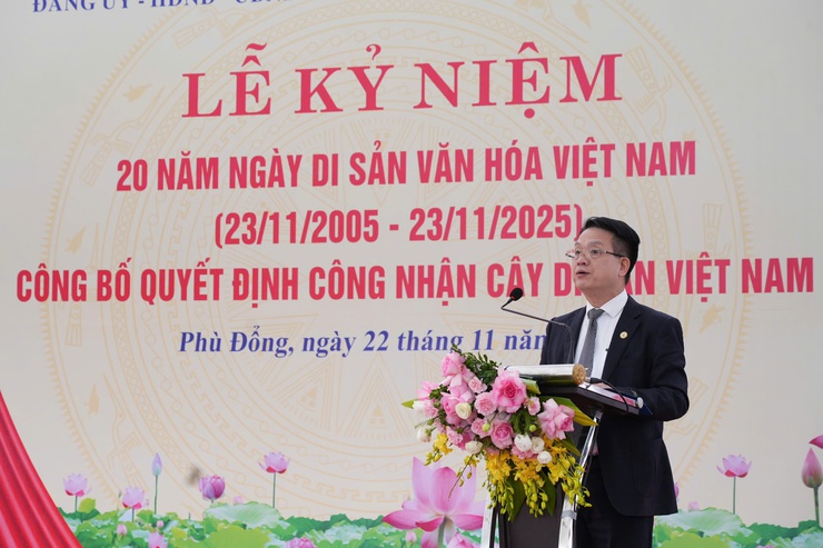 Xã Phù Đổng: Cây Quéo hơn 400 năm tuổi tại Miếu Tế Xuyên được công nhận Cây Di sản Việt Nam- Ảnh 2.