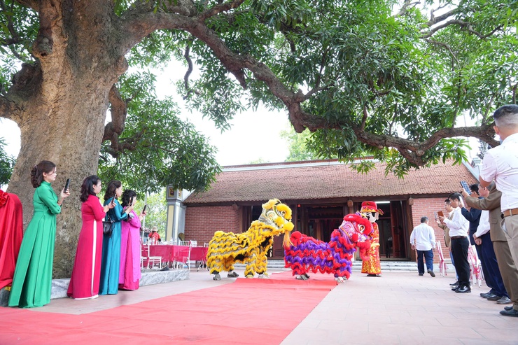 Xã Phù Đổng: Cây Quéo hơn 400 năm tuổi tại Miếu Tế Xuyên được công nhận Cây Di sản Việt Nam- Ảnh 3.