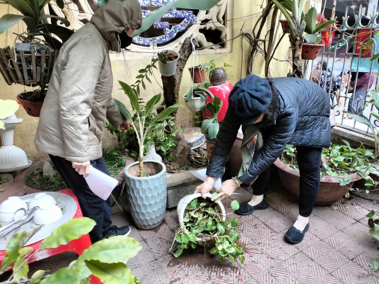 PHƯỜNG BA ĐÌNH RA QUÂN VỆ SINH MÔI TRƯỜNG, DIỆT BỌ GẬY PHÒNG CHỐNG SỐT XUẤT HUYẾT- Ảnh 2.
