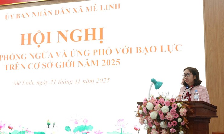 Xã Mê Linh tổ chức tập huấn về bình đẳng giới và kỹ năng phòng ngừa, ứng phó với bạo lực trên cơ sở giới- Ảnh 1.