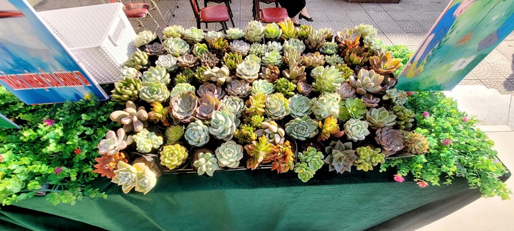 Trường tiểu học Liên Bạt tổ chức Ngày hội “Đổi rác lấy cây xanh” lan tỏa thông điệp sống xanh- Ảnh 4.