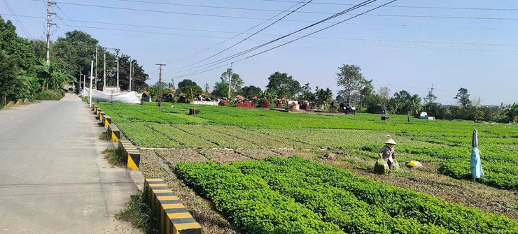 Thôn Đình Tổ: Dấu ấn một năm xây dựng đời sống văn hóa - Ảnh 4.