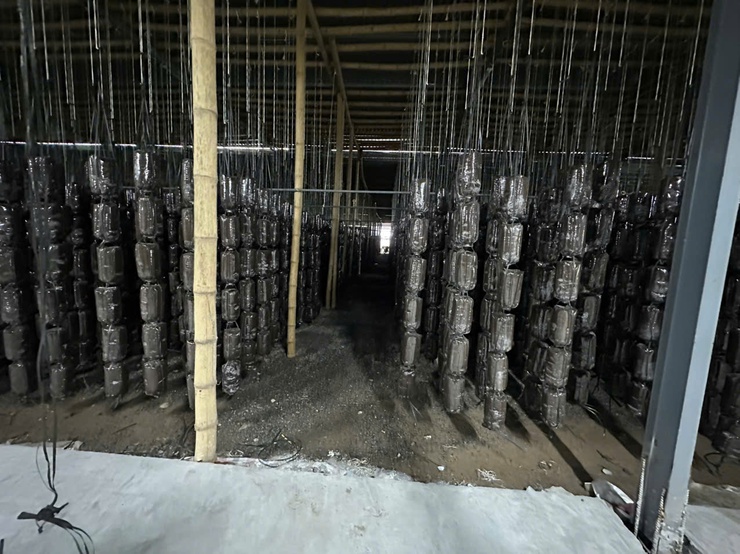 Hội nông dân xã Phú Xuyên tham gia lớp tập huấn nghiệp vụ quỹ hỗ trợ nông dân- Ảnh 6.