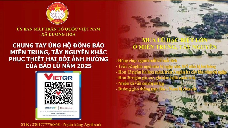 Người dân xã Dương Hoà chung tay hướng về đồng bào vùng lũ tỉnh Đắk Lắk - Ảnh 4.