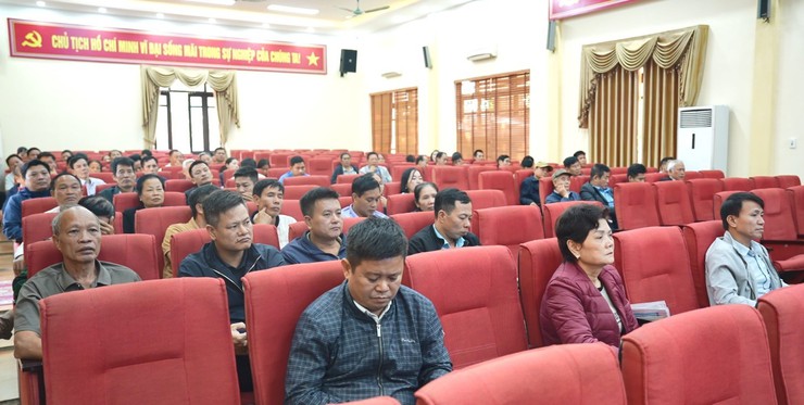 UBND xã triển khai nhiệm vụ Nhóm N50 phục vụ công tác chuyển đổi số- Ảnh 2.