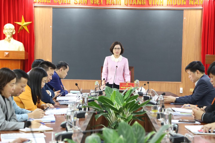 Ban Chỉ đạo bầu cử xã Quang Minh làm việc với Chi bộ thôn Hòa Bình về công tác bầu cử lại Trưởng thôn - Ảnh 1.