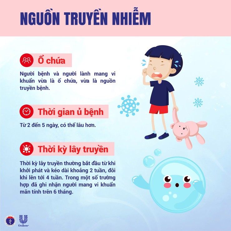 Chủ động phòng chống bệnh bạch hầu- Ảnh 3.