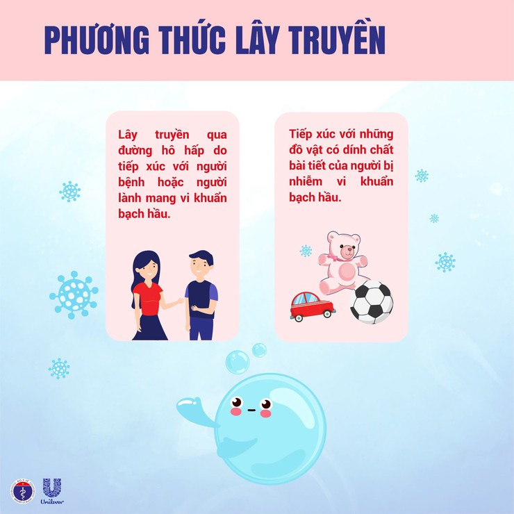 Chủ động phòng chống bệnh bạch hầu- Ảnh 2.