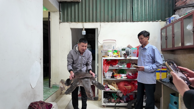 Bàn giao, tiếp nhận động vật hoang dã do người dân tự nguyên giao nộp- Ảnh 2.