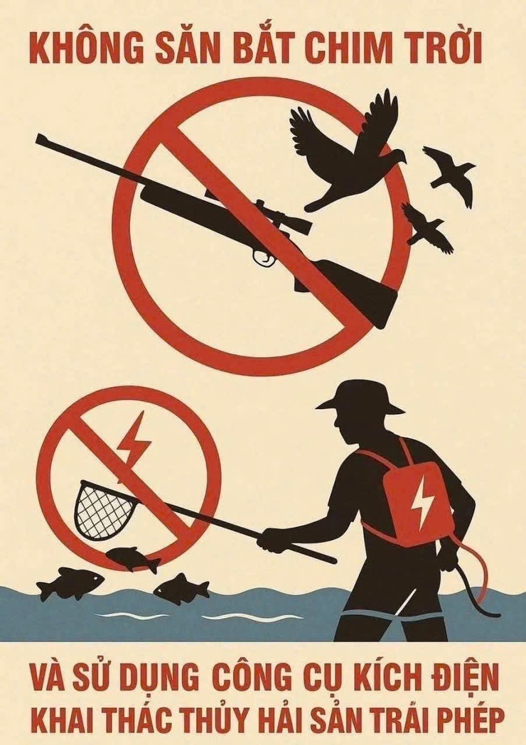 Không săn bắt chim trời – Nói không với kích điện khai thác thủy sản trái phép- Ảnh 1.