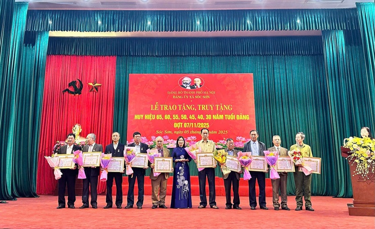 ĐẢNG ỦY XÃ SÓC SƠN LONG TRỌNG TỔ CHỨC LỄ TRAO HUY HIỆU ĐẢNG ĐỢT 7/11- Ảnh 9.