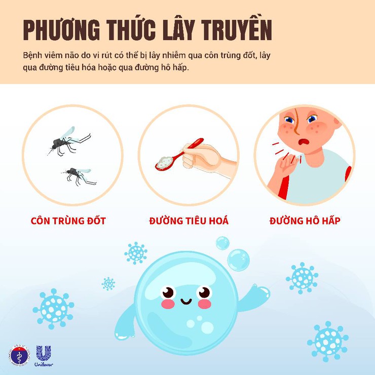 Chủ động phòng chống bệnh viêm não vi rút- Ảnh 2.