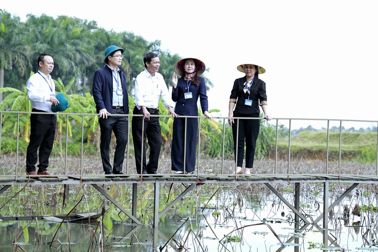 Xã Đa Phúc - Thường trực Đảng ủy làm việc với các thôn Ngọc Hà, Xuân Tảo, Đại Tảo, Ba Hàng, Yên Sào và Lai Cách- Ảnh 4.