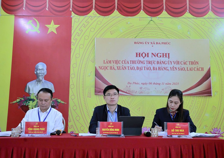 Xã Đa Phúc - Thường trực Đảng ủy làm việc với các thôn Ngọc Hà, Xuân Tảo, Đại Tảo, Ba Hàng, Yên Sào và Lai Cách- Ảnh 1.