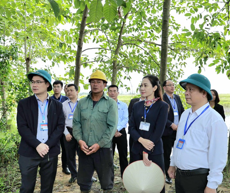 Xã Đa Phúc - Thường trực Đảng ủy làm việc với các thôn Ngọc Hà, Xuân Tảo, Đại Tảo, Ba Hàng, Yên Sào và Lai Cách- Ảnh 5.