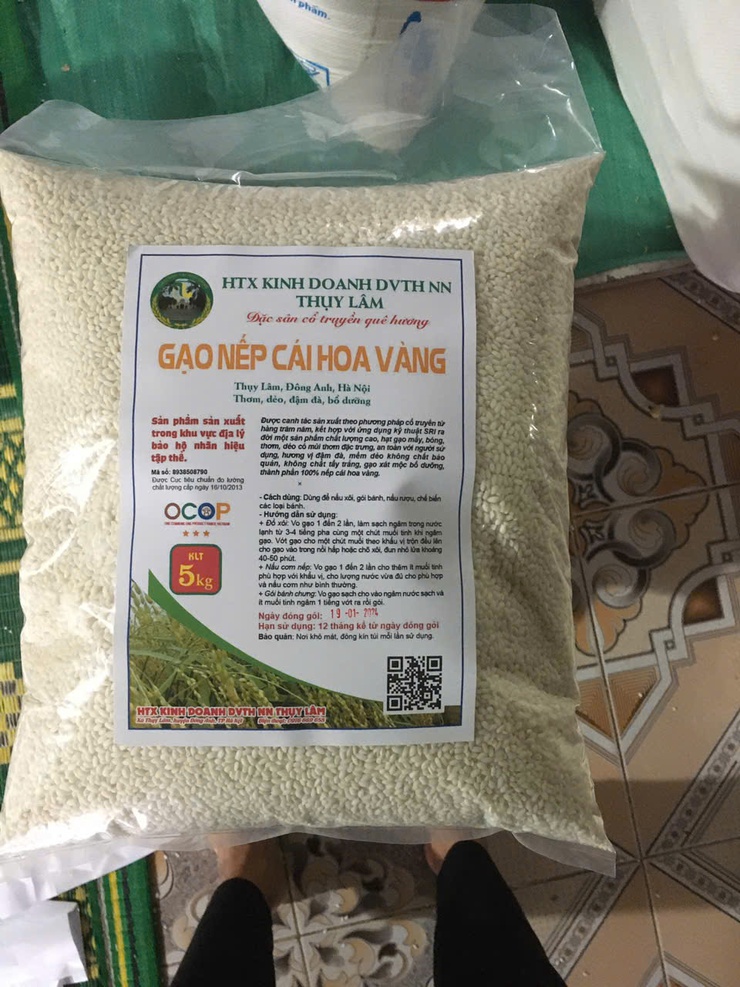 Dẻo thơm nếp cái hoa vàng Thụy Lôi – Niềm tự hào của quê hương Thư Lâm- Ảnh 7.