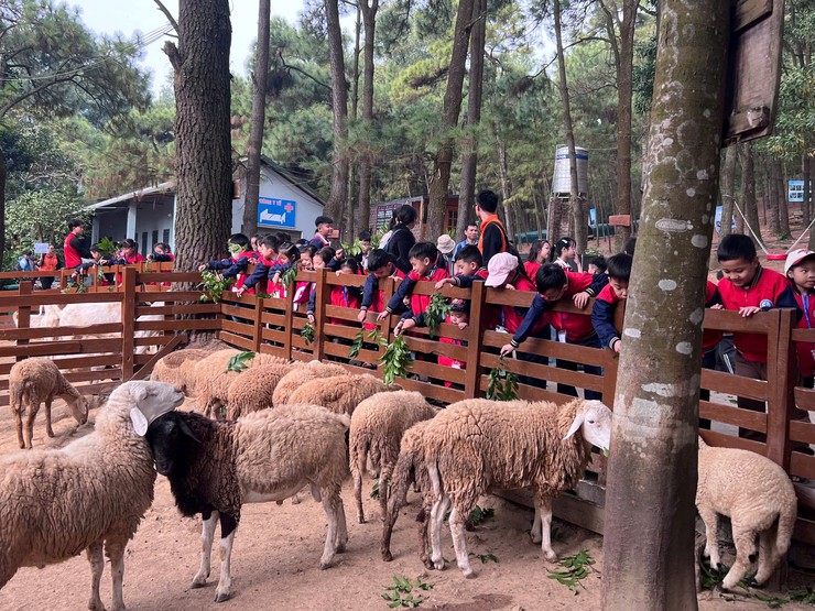 Trường Tiểu học Thúy Lĩnh tổ chức tốt hoạt động học tập trải nghiệm ngoại khóa học kỳ I cho học sinh, năm học 2025-2026- Ảnh 4.
