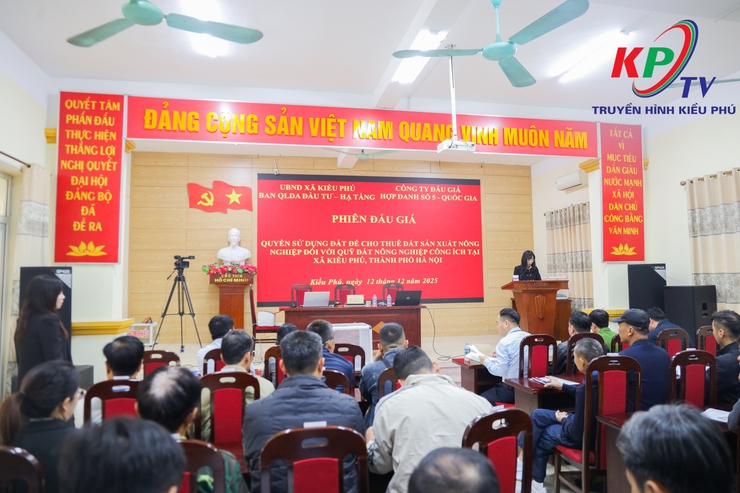 UBND xã Kiều Phú tổ chức phiên đấu giá quyền sử dụng đất công ích cho thuê sản xuất nông nghiệp tại 12 khu đất trên địa bàn- Ảnh 1.