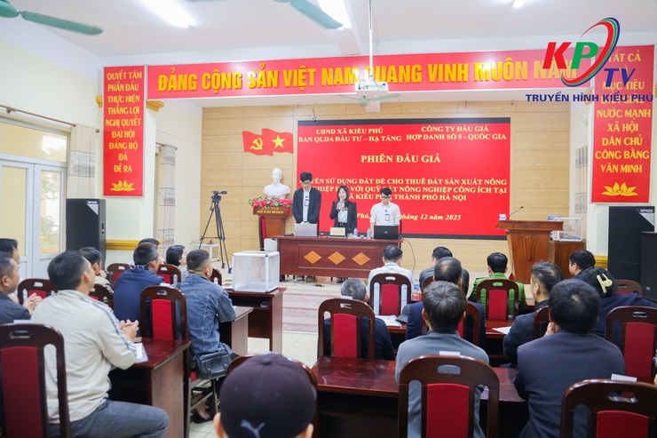UBND xã Kiều Phú tổ chức phiên đấu giá quyền sử dụng đất công ích cho thuê sản xuất nông nghiệp tại 12 khu đất trên địa bàn- Ảnh 2.
