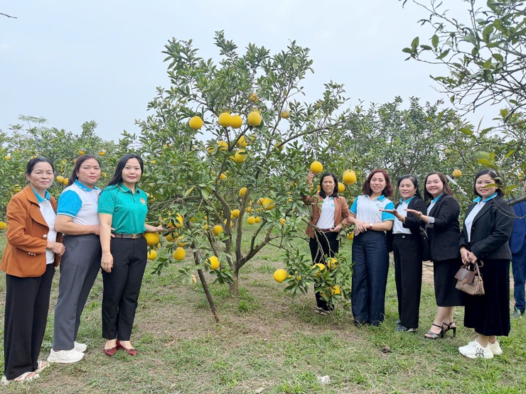 XÃ QUỐC OAI NÂNG CAO CHẤT LƯỢNG CUỘC VẬN ĐỘNG “NGƯỜI VIỆT NAM ƯU TIÊN DÙNG HÀNG VIỆT NAM” NĂM 2025
- Ảnh 8.