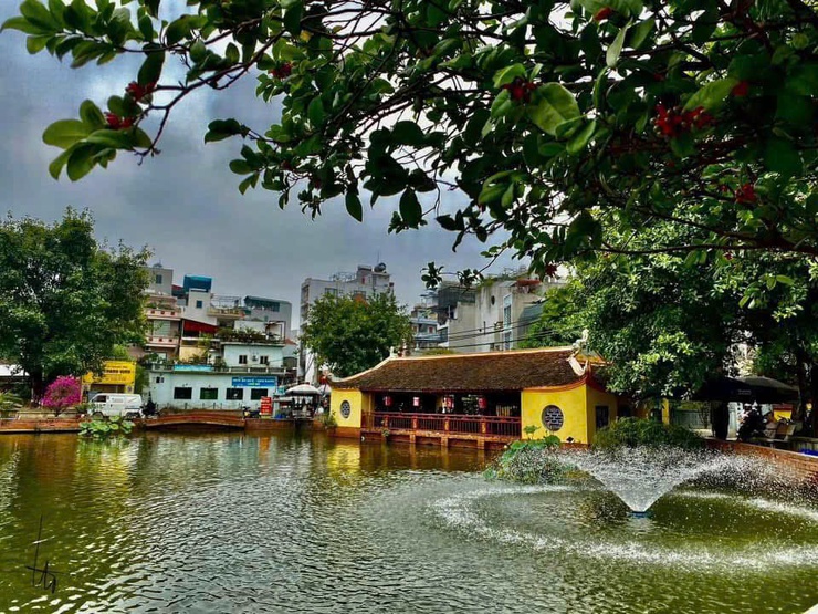 KHI TÌNH YÊU LÀNG XÓM TRỞ THÀNH HÀNH ĐỘNG - Những người giữ hồn xanh cho ao chùa Triều Khúc- Ảnh 5.