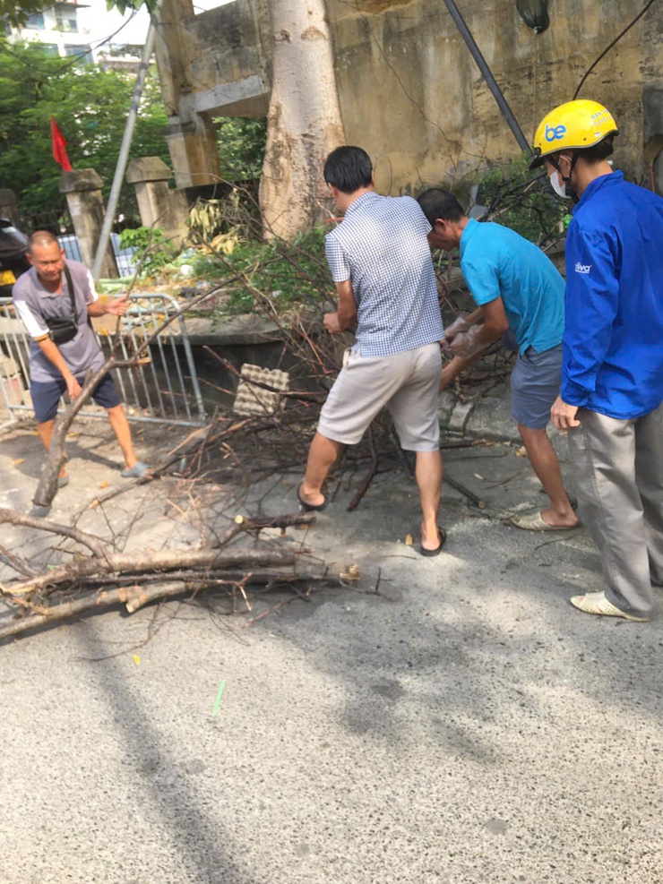 KHI TÌNH YÊU LÀNG XÓM TRỞ THÀNH HÀNH ĐỘNG - Những người giữ hồn xanh cho ao chùa Triều Khúc- Ảnh 2.