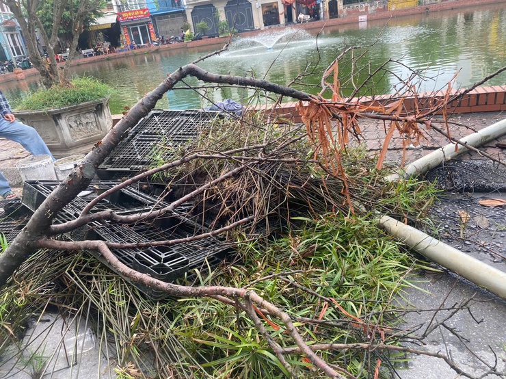 KHI TÌNH YÊU LÀNG XÓM TRỞ THÀNH HÀNH ĐỘNG - Những người giữ hồn xanh cho ao chùa Triều Khúc- Ảnh 4.