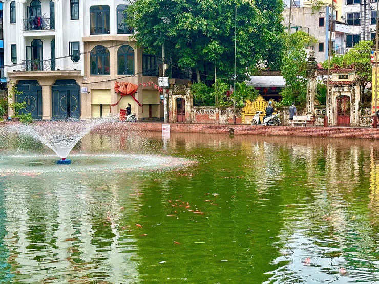 KHI TÌNH YÊU LÀNG XÓM TRỞ THÀNH HÀNH ĐỘNG - Những người giữ hồn xanh cho ao chùa Triều Khúc- Ảnh 7.