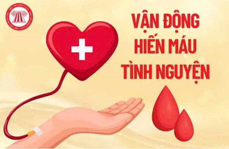 Quảng Bị: Triển khai ngày hội hiến máu tình nguyện năm 2025.
- Ảnh 2.