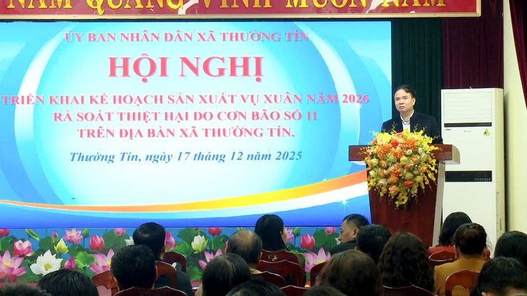 Xã Thường Tín triển khai kế hoạch sản xuất vụ xuân 2026.- Ảnh 6.