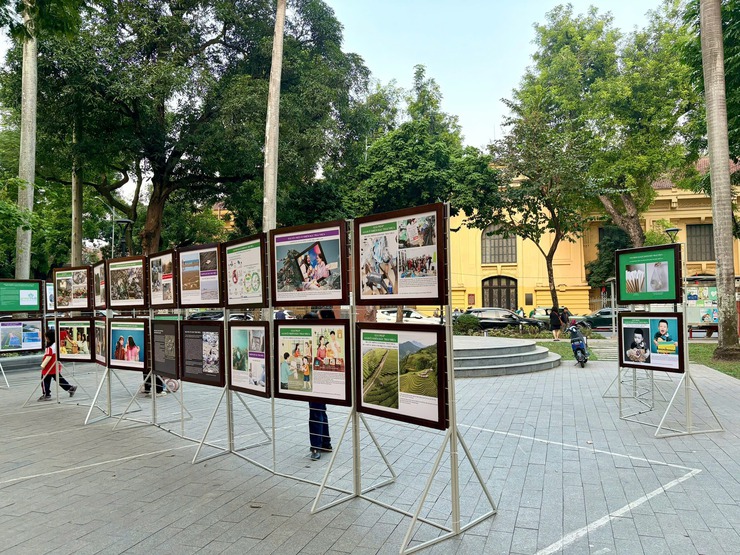 PHƯỜNG CỬA NAM HÀNH ĐỘNG VÌ MÔI TRƯỜNG XANH – ĐÔ THỊ VĂN MINH- Ảnh 3.