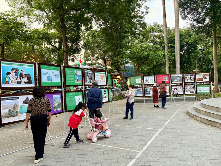 PHƯỜNG CỬA NAM HÀNH ĐỘNG VÌ MÔI TRƯỜNG XANH – ĐÔ THỊ VĂN MINH- Ảnh 1.