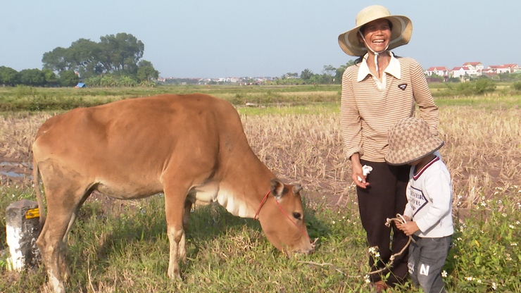 UBMTTQ Việt Nam xã Phú Xuyên trao tặng bò sinh sản cho hộ dân có hoàn cảnh khó khăn phát triển kinh tế- Ảnh 7.
