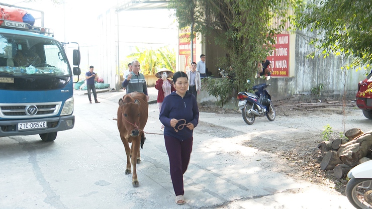 UBMTTQ Việt Nam xã Phú Xuyên trao tặng bò sinh sản cho hộ dân có hoàn cảnh khó khăn phát triển kinh tế- Ảnh 6.