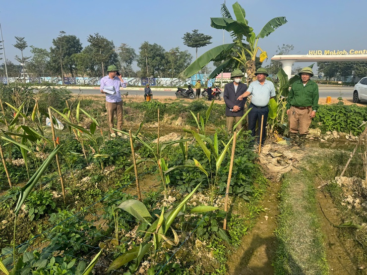 Xã Quang Minh tiến hành kiểm đếm phục vụ GPMB Dự án Khu đô thị cao cấp Mê Linh- Ảnh 3.