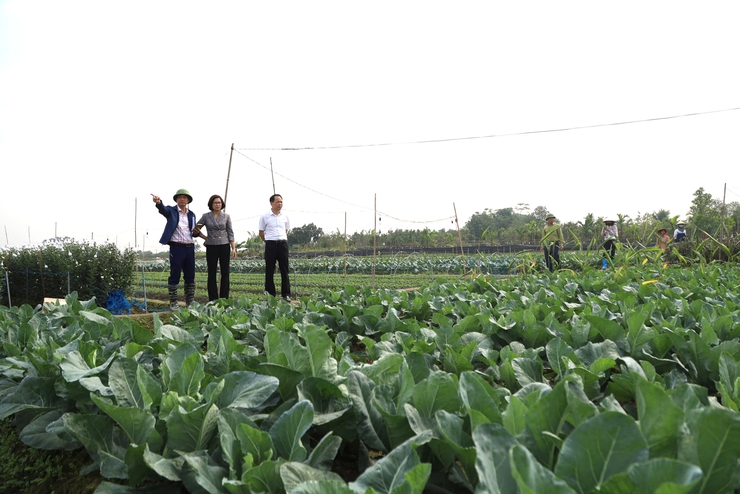 Xã Quang Minh tiến hành kiểm đếm phục vụ GPMB Dự án Khu đô thị cao cấp Mê Linh- Ảnh 2.