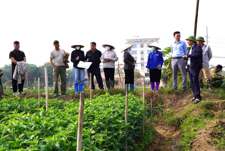 Xã Quang Minh tiến hành kiểm đếm phục vụ GPMB Dự án Khu đô thị cao cấp Mê Linh- Ảnh 1.