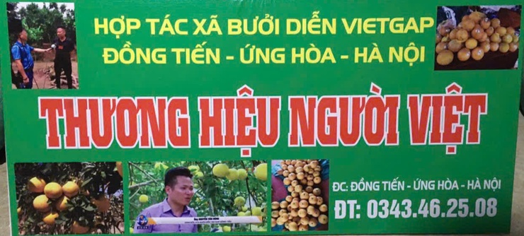 Người nông dân với hành trình nâng tầm bưởi Diễn tại HTX VietGAP Đồng Tiến- Ảnh 3.