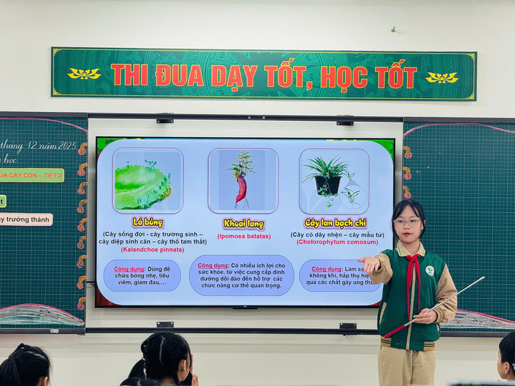 Chuyên đề Khoa học lớp 5 cấp Thành phố dạy học theo phương thức STEM gắn với phát triển năng lực số- Ảnh 4.