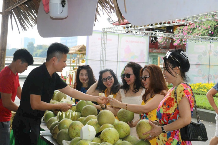 Người nông dân với hành trình nâng tầm bưởi Diễn tại HTX VietGAP Đồng Tiến- Ảnh 2.