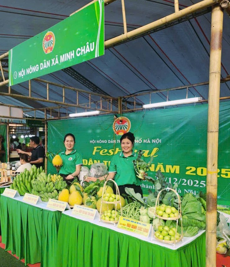 Nhiều Nông sản đặc trưng của xã Minh Châu được trưng bày tại Festival Nông dân Thủ đô năm 2025- Ảnh 2.