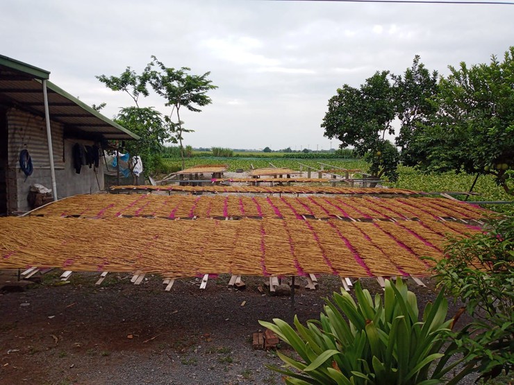 Nghề làm hương ở Văn Trai Thượng: Từ truyền thống đến khát vọng vươn xa- Ảnh 2.