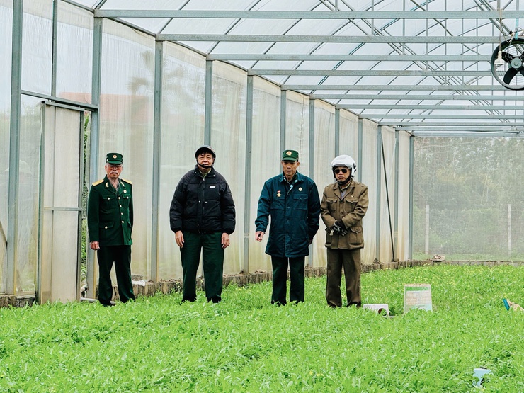 Hội CCB xã Nam Phù chuyển giao công nghệ trồng rau sạch trong nhà kính: Mở hướng làm kinh tế bền vững cho hội viên- Ảnh 8.