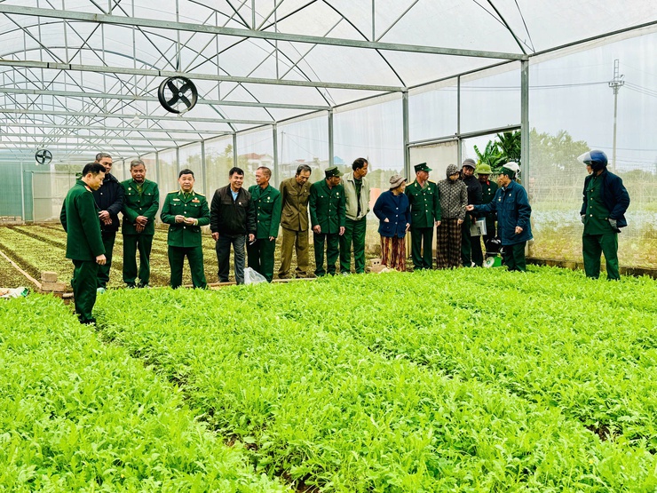 Hội CCB xã Nam Phù chuyển giao công nghệ trồng rau sạch trong nhà kính: Mở hướng làm kinh tế bền vững cho hội viên- Ảnh 5.