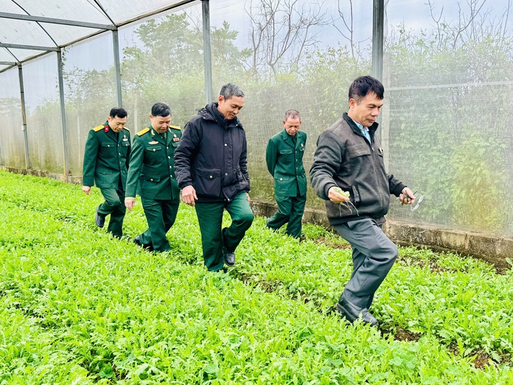 Hội CCB xã Nam Phù chuyển giao công nghệ trồng rau sạch trong nhà kính: Mở hướng làm kinh tế bền vững cho hội viên- Ảnh 9.