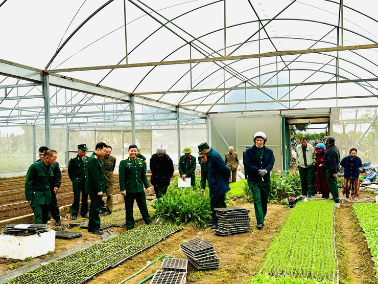 Hội CCB xã Nam Phù chuyển giao công nghệ trồng rau sạch trong nhà kính: Mở hướng làm kinh tế bền vững cho hội viên- Ảnh 6.