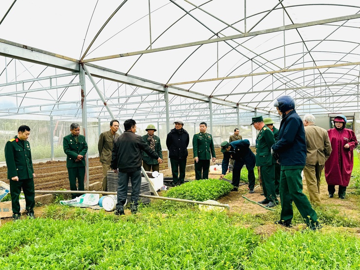 Hội CCB xã Nam Phù chuyển giao công nghệ trồng rau sạch trong nhà kính: Mở hướng làm kinh tế bền vững cho hội viên- Ảnh 7.