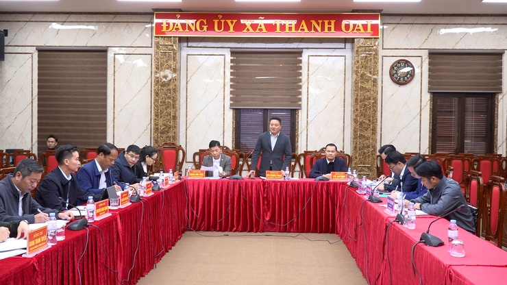 Triển khai dự án đầu tư xây dựng Khu đô thị thể thao Olympic Khu vực xã Thanh Oai- Ảnh 10.